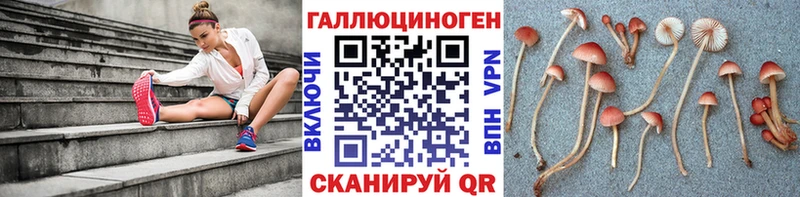 ОМГ ОМГ продажа наркотиков Нижнеудинск Псилоцибиновые грибы мухоморы