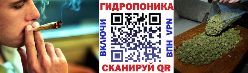 где продают Нижнеудинск Шишки марихуана сатива